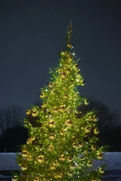 Neujahrsbaum Mit Bällen Park — Stockfoto