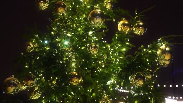 Albero Capodanno Con Palline Nel Parco — Video Stock