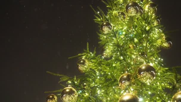 Πρωτοχρονιάτικο Δέντρο Μπάλες Στο Πάρκο — Αρχείο Βίντεο