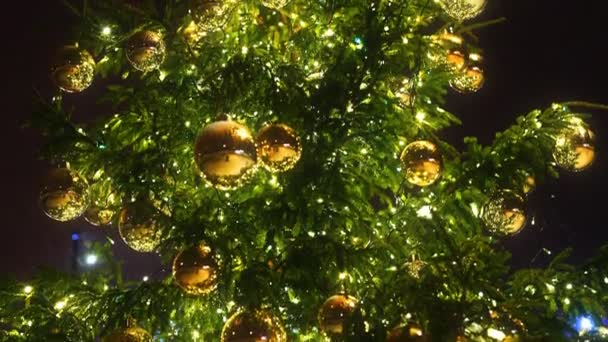 New Year Tree Balls Park — Stock Video