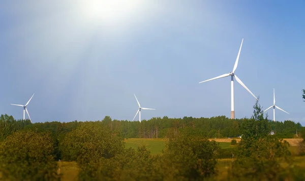 Wind Turbines Field Eco Energy Concept — Stock Photo, Image