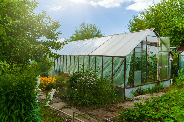 Traditional old greenhouse in the garden.