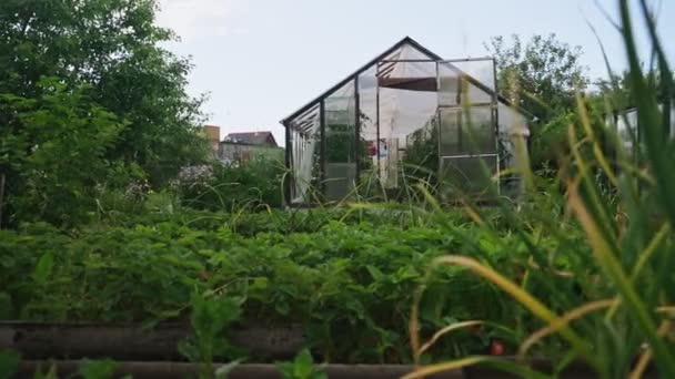 Antiga Estufa Tradicional Jardim — Vídeo de Stock