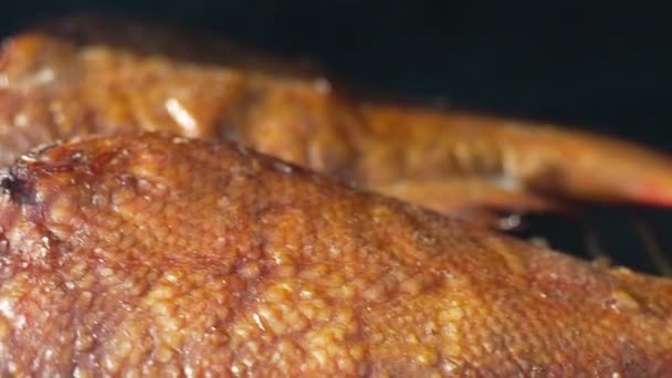 Tütsülenmiş Levrek Balığı Izgaranın Üzerinde — Stok video