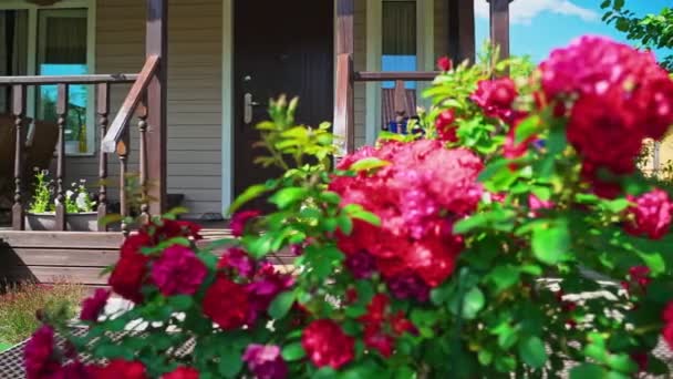 Country House Cottage Summer Sunny Day — Stock Video