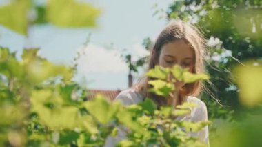 Genç kız kırsalda frenk üzümü topluyor..