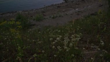Rusya 'daki Narva Nehri üzerindeki Narva Hidroelektrik İstasyonu.