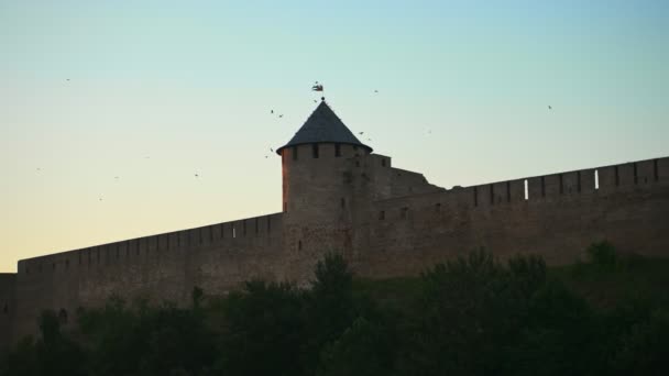 Veduta Del Castello Ivangorod Russia Dall Estonia — Video Stock