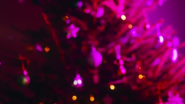 Санта Клаус Дарує Подарунок Біля Ялинки — стокове відео