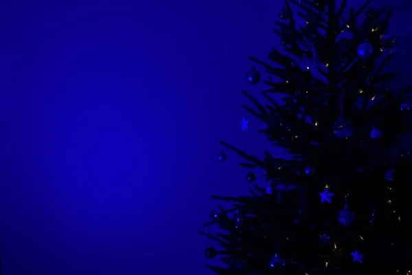 Christmas Tree Blue Moonlight Night Light — Stock Photo, Image