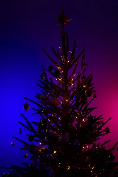 Weihnachtsbaum Mit Blauer Und Rosa Hintergrundbeleuchtung — Stockfoto