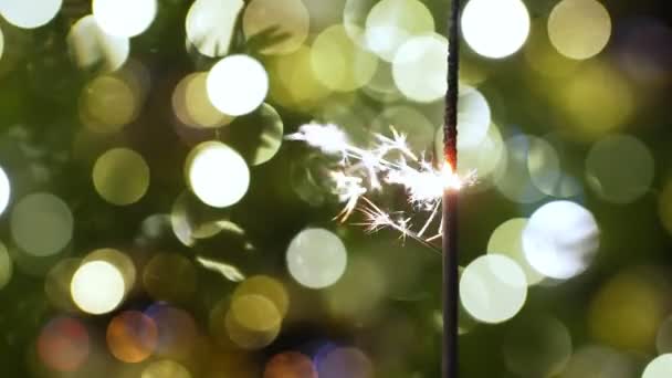 Benggala Api Latar Belakang Pohon Natal — Stok Video