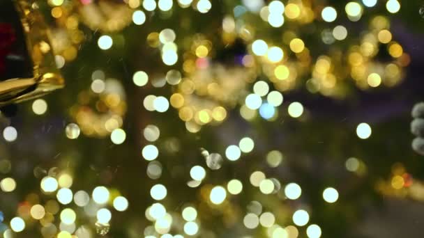 Mãos Dando Presente Ano Novo Abaixo Árvore Natal — Vídeo de Stock