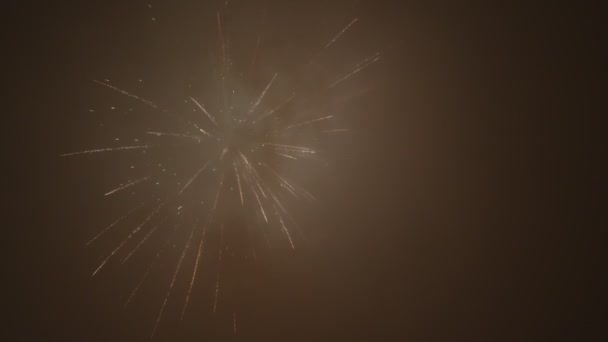 Fuegos Artificiales Cielo Celebración Del Año Nuevo — Vídeo de stock