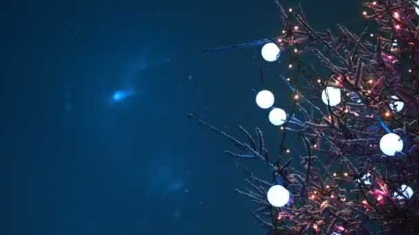 Christmas Tree Fireworks Sky — ストック動画