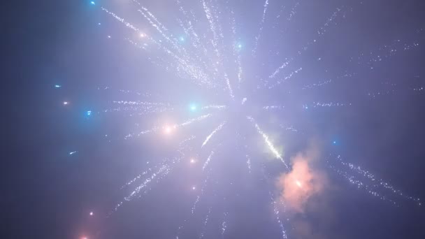 Fuegos Artificiales Cielo Movimiento Lento — Vídeos de Stock