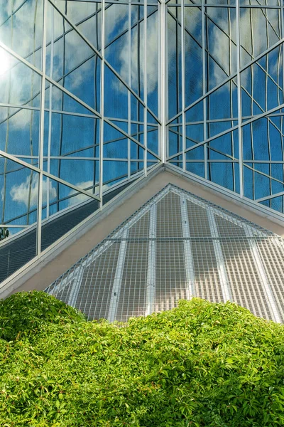 Edificio Vidrio Oficina Ecológico Con Vegetación —  Fotos de Stock