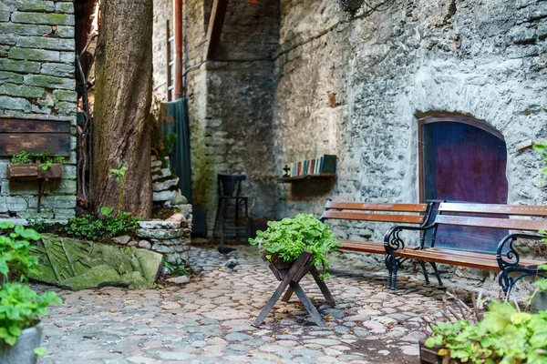 Cozy Courtyard Benches Old Town — Stock Photo, Image