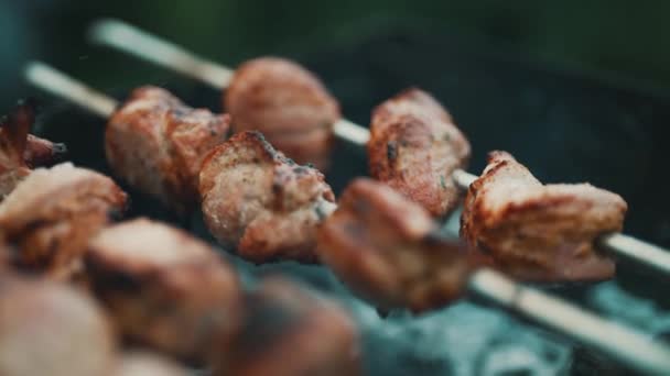 Smaklig Fläsk Shashlik Grillen — Stockvideo