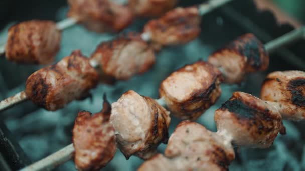 Tasty Pork Shashlik Grill — Stock Video