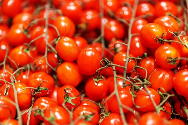 Lots Red Cherry Tomatoes Supermarket — Stock Photo, Image