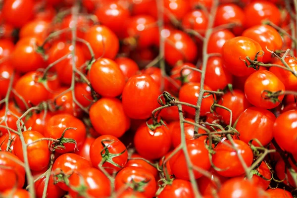 Viele Rote Kirschtomaten Supermarkt — Stockfoto