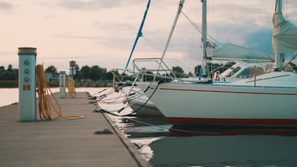 Лодки Пришвартованы Гавани Летом — стоковое видео