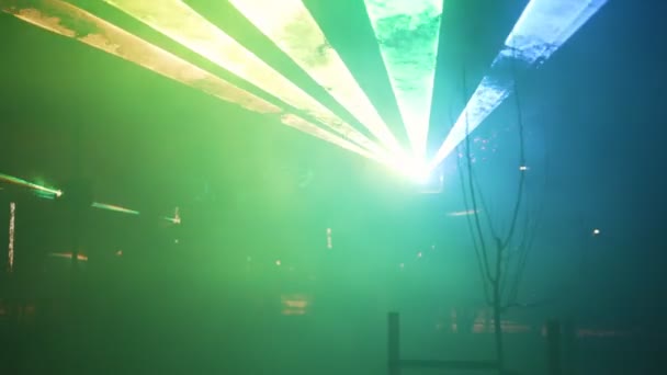 Nächtliche Lasershow Wald — Stockvideo