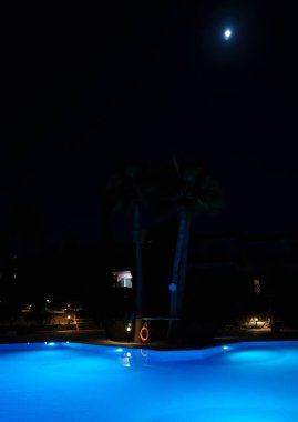 Geceleri modern arka bahçe su havuzu.