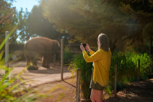 Mujer Fotografiando Elefante Zoológico Nacional —  Fotos de Stock