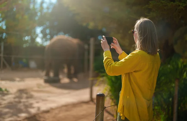 Frau Fotografiert Elefanten Nationalzoo — Stockfoto