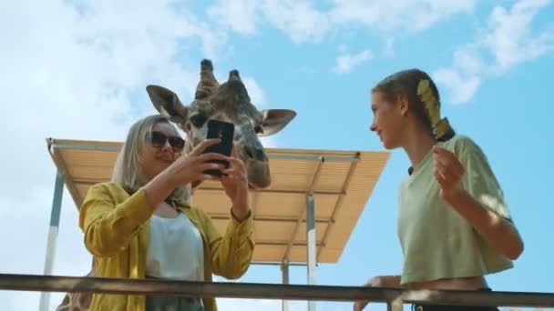 Vrouw Doet Selfie Met Giraffe — Stockvideo