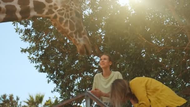 Γυναίκα Και Κόρη Της Ταΐζουν Καμηλοπάρδαλη Στο Ζωολογικό Κήπο — Αρχείο Βίντεο