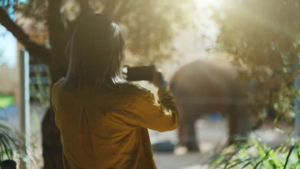 国立動物園で象を撮る女 — ストック動画