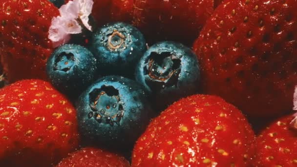 Makroaufnahme Von Frischen Blaubeeren Und Erdbeeren — Stockvideo