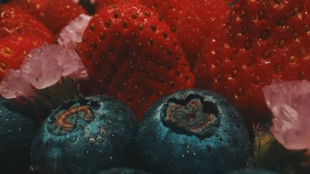 Macro Shot Mirtilli Freschi Composizione Fragole — Video Stock