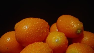 Kumquats veya Citrus japonica. Dokunulmazlığı güçlendirir.