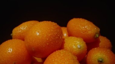 Kumquats or Citrus japonica. Strengthens immunity.