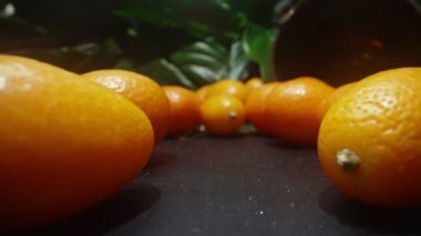 Kumquats or Citrus japonica. Strengthens immunity.