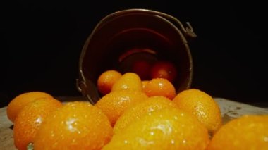 Kumquats veya Citrus japonica. Dokunulmazlığı güçlendirir.