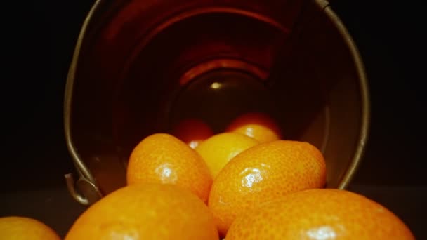 Kumquats Citrus Japonica Strengthens Immunity — Stock Video