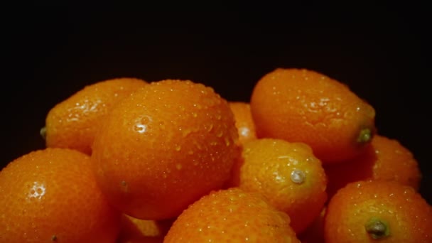 Kumkwaty Albo Citrus Japonica Wzmacnia Odporność — Wideo stockowe