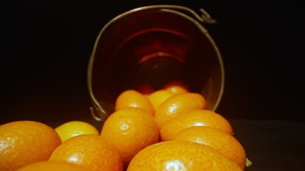 Kumquats or Citrus japonica. Strengthens immunity.