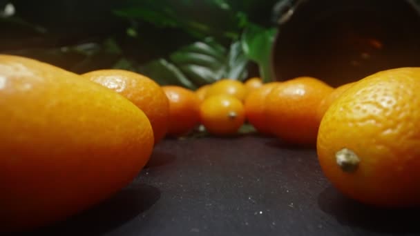 Kumquats Citrus Japonica Strengthens Immunity — Stockvideo