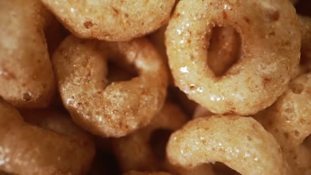 Macro View Cereal Circles Bowl — Video Stock