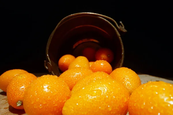 Kumquats Citrus Japonica Strengthens Immunity Relieves Hangover Syndrome — ストック写真