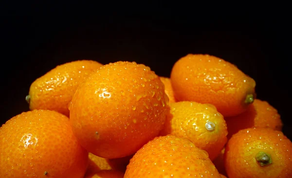 Kumquats Citrus Japonica Strengthens Immunity Relieves Hangover Syndrome — стоковое фото