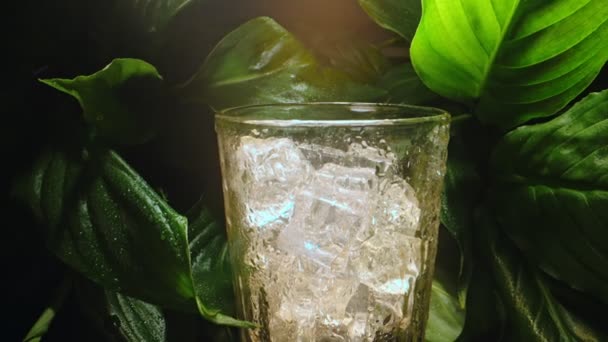 绿叶中加冰的玻璃 — 图库视频影像