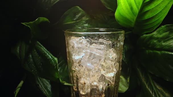 绿叶中加冰的玻璃 — 图库视频影像