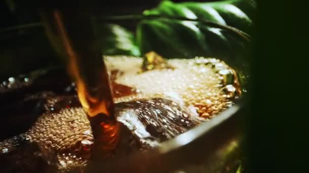 Pouring Cola Ice Cubes — Video Stock